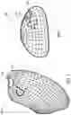Fig. 02 - METHODS, DEVICES, AND SYSTEMS FOR OBESITY TREATMENT