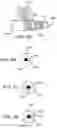 Fig. 04 - METHODS, DEVICES, AND SYSTEMS FOR OBESITY TREATMENT