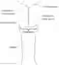 Fig. 01 - Methods and devices to prevent premature birth, stillbirth, miscarriage, infection, or pregnancy