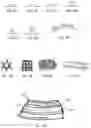 Fig. 04 - Methods and devices to prevent premature birth, stillbirth, miscarriage, infection, or pregnancy