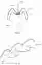 Fig. 08 - Methods and devices to prevent premature birth, stillbirth, miscarriage, infection, or pregnancy