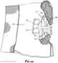 Fig. 16 - Moisture Absorbent Undergarment