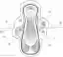Fig. 01 - Feminine hygiene article