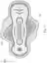 Fig. 23 - Feminine hygiene article