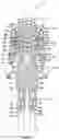 Fig. 02 - MASSAGE DEVICES, MASSAGE ELEMENTS, AND METHODS FOR RELIEVING SOFT TISSUE PAIN AND TENSION