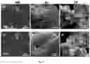 Fig. 05 - TITANIUM-CONTAINING SILICATE-BASED BIOACTIVE GLASS FOR ENAMEL REMINERALIZATION