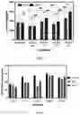 Fig. 07 - TITANIUM-CONTAINING SILICATE-BASED BIOACTIVE GLASS FOR ENAMEL REMINERALIZATION