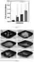 Fig. 08 - TITANIUM-CONTAINING SILICATE-BASED BIOACTIVE GLASS FOR ENAMEL REMINERALIZATION