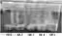 Fig. 01 - Nanoemulsion cosmetic composition and process for preparing same