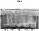 Fig. 02 - Nanoemulsion cosmetic composition and process for preparing same
