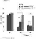 Fig. 12 - METHODS AND COMPOSITIONS FOR TREATING MIGRAINE AND CONDITIONS ASSOCIATED WITH PAIN