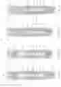Fig. 05 - Hematocrit Modulation Through Needle Assisted Jet Injection of Testosterone