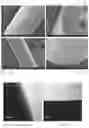 Fig. 02 - MESOPOROUS SPONGE SPICULE  AND METHODS THEREOF