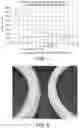 Fig. 05 - COMPARTMENTALIZED DRUG DELIVERY DEVICES