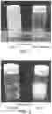 Fig. 02 - METHOD OF ENHANCING THE EFFICACY AND STABILITY OF INGREDIENTS IN SUSPENSIONS