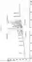Fig. 02 - Stable Solid Formulation of GC-C Receptor Agonist Polypeptide Suitable for Oral Administration