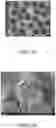 Fig. 07 - MICROFLUIDICS DEVICE FOR FABRICATION OF LARGE, UNIFORM, INJECTABLE HYDROGEL MICROPARTICLES FOR CELL ENCAPSULATION