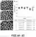 Fig. 11 - MICROFLUIDICS DEVICE FOR FABRICATION OF LARGE, UNIFORM, INJECTABLE HYDROGEL MICROPARTICLES FOR CELL ENCAPSULATION