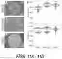 Fig. 13 - MICROFLUIDICS DEVICE FOR FABRICATION OF LARGE, UNIFORM, INJECTABLE HYDROGEL MICROPARTICLES FOR CELL ENCAPSULATION