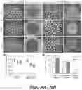 Fig. 30 - MICROFLUIDICS DEVICE FOR FABRICATION OF LARGE, UNIFORM, INJECTABLE HYDROGEL MICROPARTICLES FOR CELL ENCAPSULATION