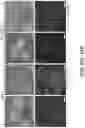Fig. 32 - MICROFLUIDICS DEVICE FOR FABRICATION OF LARGE, UNIFORM, INJECTABLE HYDROGEL MICROPARTICLES FOR CELL ENCAPSULATION