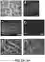 Fig. 34 - MICROFLUIDICS DEVICE FOR FABRICATION OF LARGE, UNIFORM, INJECTABLE HYDROGEL MICROPARTICLES FOR CELL ENCAPSULATION