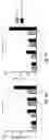 Fig. 06 - Compositions and methods for inhibiting post-surgical adhesions