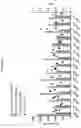 Fig. 05 - NANOENCAPSULATION OF ANTIGEN-BINDING MOLECULES