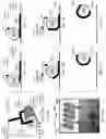 Fig. 08 - Systems and methods for removing a covering from a bodily surface
