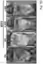 Fig. 04 - Xanthohumol solubilizate