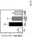 Fig. 14 - Xanthohumol solubilizate
