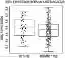 Fig. 01 - EXPLOITING ESTROGEN RECEPTOR BETA AND TP53 INTERACTION AS A NEW THERAPEUTIC STRATEGY FOR CANCER