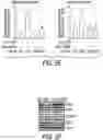 Fig. 08 - EXPLOITING ESTROGEN RECEPTOR BETA AND TP53 INTERACTION AS A NEW THERAPEUTIC STRATEGY FOR CANCER