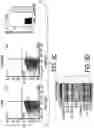 Fig. 11 - EXPLOITING ESTROGEN RECEPTOR BETA AND TP53 INTERACTION AS A NEW THERAPEUTIC STRATEGY FOR CANCER