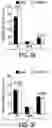 Fig. 12 - EXPLOITING ESTROGEN RECEPTOR BETA AND TP53 INTERACTION AS A NEW THERAPEUTIC STRATEGY FOR CANCER