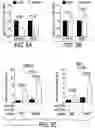Fig. 19 - EXPLOITING ESTROGEN RECEPTOR BETA AND TP53 INTERACTION AS A NEW THERAPEUTIC STRATEGY FOR CANCER
