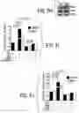 Fig. 28 - EXPLOITING ESTROGEN RECEPTOR BETA AND TP53 INTERACTION AS A NEW THERAPEUTIC STRATEGY FOR CANCER