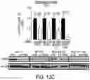 Fig. 38 - EXPLOITING ESTROGEN RECEPTOR BETA AND TP53 INTERACTION AS A NEW THERAPEUTIC STRATEGY FOR CANCER
