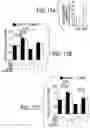 Fig. 47 - EXPLOITING ESTROGEN RECEPTOR BETA AND TP53 INTERACTION AS A NEW THERAPEUTIC STRATEGY FOR CANCER