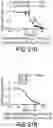 Fig. 56 - EXPLOITING ESTROGEN RECEPTOR BETA AND TP53 INTERACTION AS A NEW THERAPEUTIC STRATEGY FOR CANCER