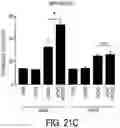 Fig. 57 - EXPLOITING ESTROGEN RECEPTOR BETA AND TP53 INTERACTION AS A NEW THERAPEUTIC STRATEGY FOR CANCER