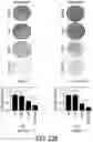Fig. 59 - EXPLOITING ESTROGEN RECEPTOR BETA AND TP53 INTERACTION AS A NEW THERAPEUTIC STRATEGY FOR CANCER