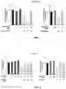 Fig. 02 - PHARMACEUTICAL COMPOSITION FOR CO-ADMINISTRATION OF ACIDOSIS-INDUCING DRUG