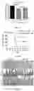 Fig. 05 - METHOD OF PREVENTING OR TREATING TREATMENT-INDUCED GASTROINTESTINAL INJURY