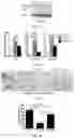 Fig. 15 - METHOD OF PREVENTING OR TREATING TREATMENT-INDUCED GASTROINTESTINAL INJURY