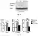 Fig. 16 - METHOD OF PREVENTING OR TREATING TREATMENT-INDUCED GASTROINTESTINAL INJURY