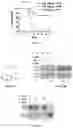 Fig. 18 - METHOD OF PREVENTING OR TREATING TREATMENT-INDUCED GASTROINTESTINAL INJURY