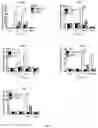 Fig. 24 - METHOD OF PREVENTING OR TREATING TREATMENT-INDUCED GASTROINTESTINAL INJURY