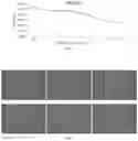 Fig. 02 - APPLICATION OF ACTIVE INGREDIENT WGX50 IN ZANTHOXYLUM BUNGEANUM EXTRACT