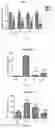 Fig. 04 - APPLICATION OF ACTIVE INGREDIENT WGX50 IN ZANTHOXYLUM BUNGEANUM EXTRACT